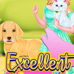 Excellent Pet Groomer